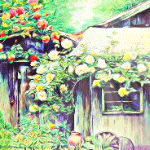 99px.ru аватар Деревенский дом, обвитый розами, на который светят лучи солнца