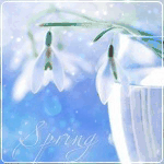 Аватар Подснежники в вазе (spring / весна)