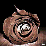 99px.ru аватар Переливающаяся разными цветами роза