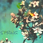 99px.ru аватар Веточка яблони (SPRING / Весна)