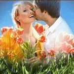 99px.ru аватар Мужчина целует девушку на тюльпаном поле
