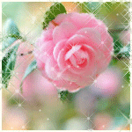 99px.ru аватар Распустившийся цветок розы
