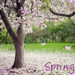 99px.ru аватар Цветущее дерево магнолии с опадающими лепестками на фоне леса с летающими бабочками (spring / весна)