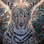 99px.ru аватар Леопард подергивает ушками