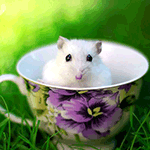 99px.ru аватар Белая мышь сидит на траве в чашке с цветочным узором