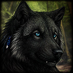 Аватар Черный волк с голубыми глазами. Художник DarkIceWolf
