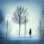 Аватар Силуэт девушки, которая стоит рядом с деревом, идет снег, фотограф Julie de Waroquier / Джули Де Варокьер