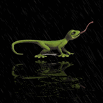 99px.ru аватар Зеленая ящерица дергает длинным языком под дождем на черном фоне