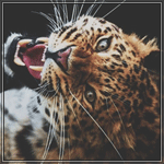 99px.ru аватар Леопард рычит, запрокинув голову к фотографу