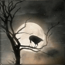 Аватар Ворон сидит на ветке дерева на фоне полной луны