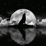 99px.ru аватар Воющий волк сидит на берегу водоема на фоне полной луны, падают звезды