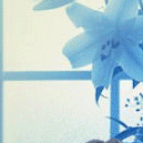 99px.ru аватар Белая лилия на фоне окна, из которого виднеется небо
