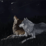 99px.ru аватар Два волка, лежащих на траве, наблюдают за падающими звездами