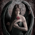 99px.ru аватар Ангел, с черными крыльями, держит розу в руке, художница Anne Stokes / Анн Стоукс