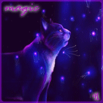 99px.ru аватар Кот смотрит на светящиеся фиолетовым цветом огни (magic / магия), художница Neptunnia
