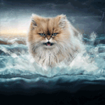 99px.ru аватар Большой пушистый кот стоит среди волн, сверкает молния