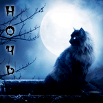 Аватар Черная кошка на фоне полной луны и надпись Ночь, автор moroka323
