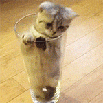 99px.ru аватар Рыжий котенок залезает в стакан
