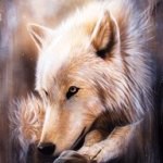 Аватар Волк стоит на камне, художник Sandi Baker