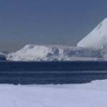 99px.ru аватар Выпрыгивающий на льдину пингвин