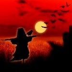 Аватар Чучело в поле на фоне заката и птиц