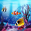 99px.ru аватар Рыбки, на фоне кораллов в бликах пробивающегося солнечного света, плавают в разные стороны, две рыбки находятся на месте