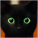 99px.ru аватар Черный котенок с зелеными глазами моргает