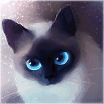 99px.ru аватар Кошка с голубыми глазами на фоне мерцающей пыльцы