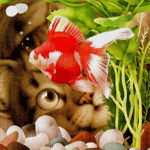 99px.ru аватар Кот наблюдает за рыбкой, плавающей в аквариуме, художник Makoto Muramatsu / Макото Мурамацу