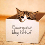 Аватар Котенок спрятался в коробке с надписью (Emergency blog kitten / Неприкосновенный дневник котенка)