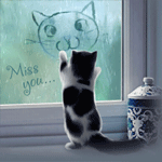 99px.ru аватар Пушистый черно-белый котенок, стоящий на задних лапах, разглядывает рисунок кошачьей мордочки на оконном стекле, за окном идет дождь (Miss you / Скучаю)