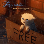 Аватар Котенок сидит в картонной коробке с надписью free / бесплатно под дождем, художник Chiakiro (Без тебя так холодно.)