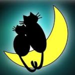99px.ru аватар Два котенка сидят на луне