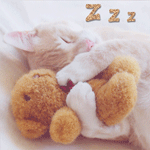 99px.ru аватар Котенок спит, обняв плюшевого медведя (Z z z)