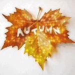 Аватар Осенний кленовый лист, в котором вырезано слово Autumn / Осень