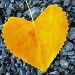 99px.ru аватар Осенний листок в форме сердца лежит на щебенке