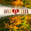 Аватар Листопад (autumn / осень)