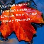 Аватар Осенний кленовый лист на воде (Скучная картина, тучи без конца, дождик так и льется, лужи у крыльца.)