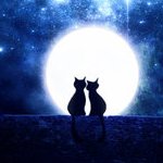 Аватар Два котенка сидят на фоне полной луны