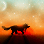 Аватар Волк, бегущий на фоне звездного неба и месяца