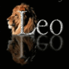 99px.ru аватар Лев на черном фоне (Leo / Лев)