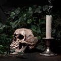 99px.ru аватар Череп и свеча в листве, работа художника Tom Mc Nemar жизнь и смерть