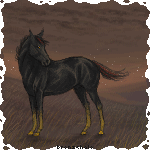 99px.ru аватар Черная лошадь с появляющимися золотыми крыльями за спиной, на фоне пасмурного неба, автор bronzehalo