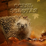 99px.ru аватар Ёжик среди осенней листвы (осень золотая)