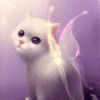 99px.ru аватар Белая кошка со сказочными крыльями