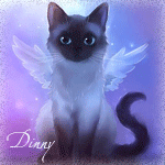 Аватар Котенок сиамской породы с крылышками (Dinny)