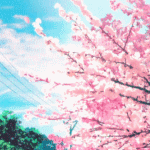 Аватар Cherry Blossom / нежно-розовые лепестки облетают с цветущего дерева сакуры