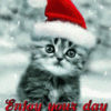 Аватар Котенок с новогодней шапкой на голове (Enjoy your day / Приятного вам дня)