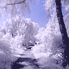 99px.ru аватар Дорога, ведущая через зимний лес с покрытыми инеем деревьями на фоне синего неба