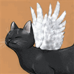 99px.ru аватар Черный кот с белыми крыльями довольно зажмурил глаза